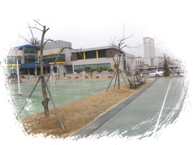 후원나무 식재.jpg