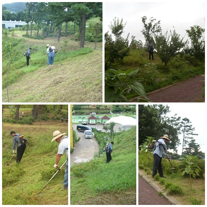 제초작업.jpg