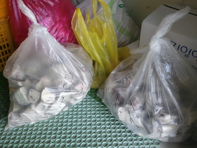 2월8일 청주어시장.jpg